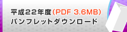 ����22�N�x�p���t���b�g�_�E�����[�h