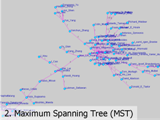 Visual Destruction: Maximum Spanning Tree