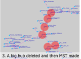 Visual Destruction: A big hub deleted and then MST made