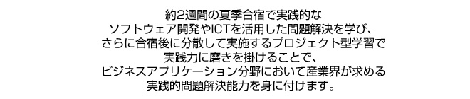 約2週間の夏季合宿で実践的なソフトウェア開発やICTを活用した問題解決を学び、さらに合宿後に分散して実施するプロジェクト型学習で実践力に磨きを掛けることで、ビジネスアプリケーション分野において産業界が求める実践的問題解決能力を身に付けます。