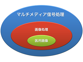 画像処理・医用画像・マルチメディア信号処理の関係